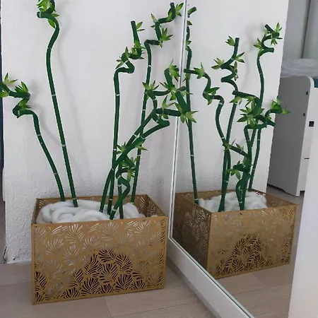 Appartement Résidence Les Estivales